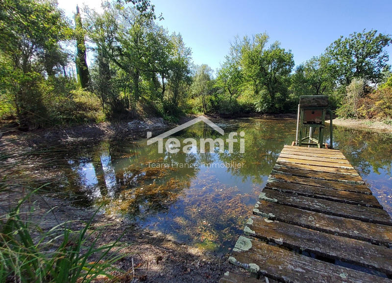 Mas - 256 m² - 10 pièces