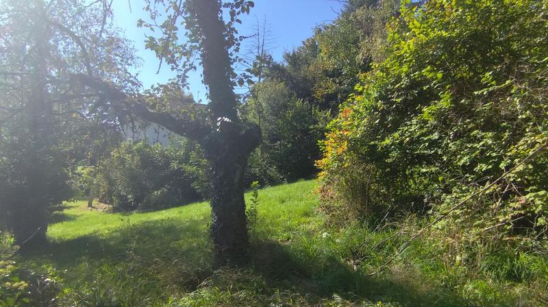 Maison - 125 m² - 4 pièces