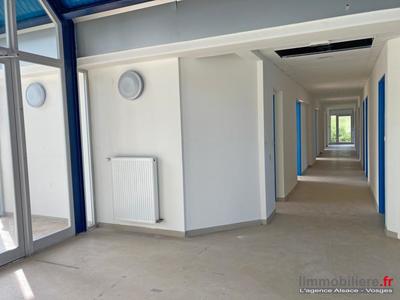 Bureau - 300 m² - 4 pièces