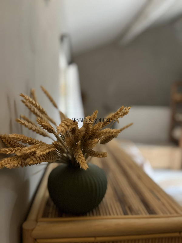 Maison - 31 m² - 2 pièces