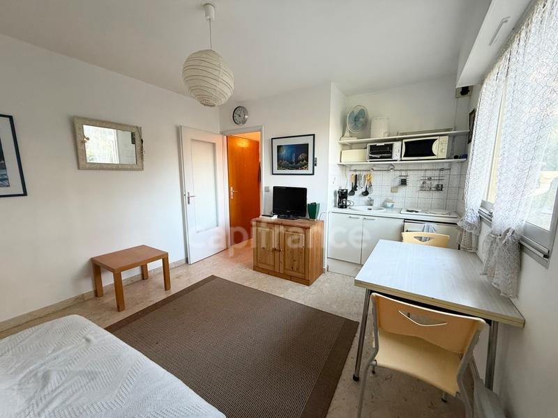 Studio - 19 m² - 1 pièce