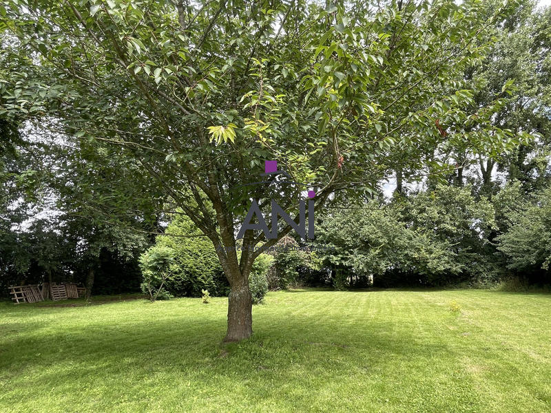 Maison ancienne - 211 m² - 7 pièces