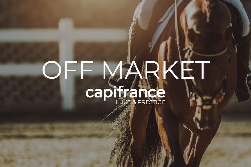 Propriété - 500 m² - 16 pièces