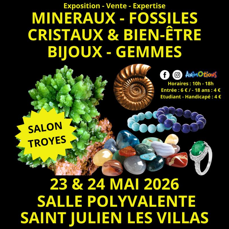 2ème salon minéraux fossiles cristaux