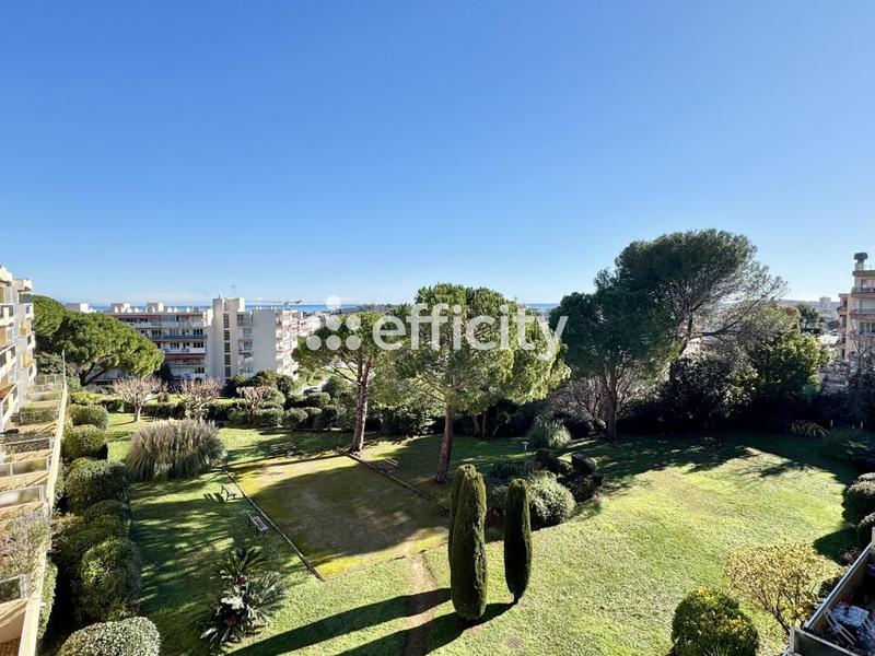 Appartement - 50 m² - 2 pièces