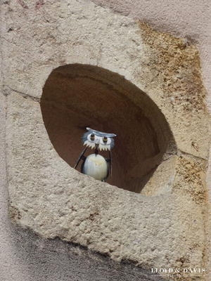 Maison - 221 m² - 7 pièces