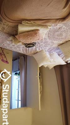 Chambre - 11 m² - 1 pièce