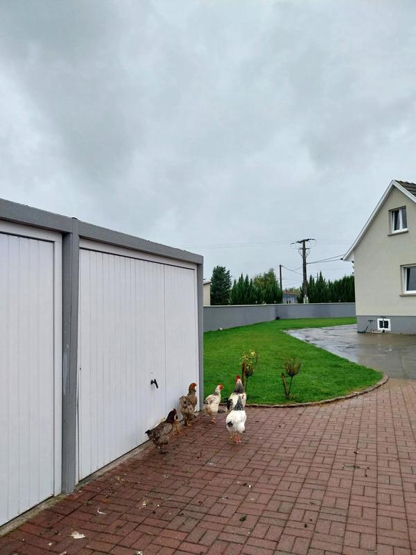 Maison - 220 m² - 10 pièces