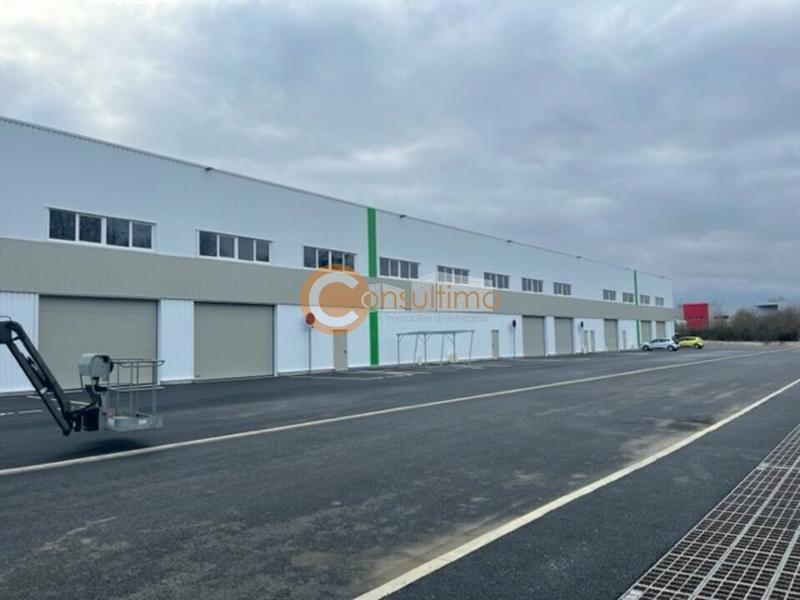 Local d'activité / Entrepôt - 295 m²