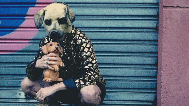 Festival Spring : Vilain chien