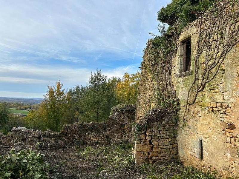 Terrain constructible - 8 085 m²