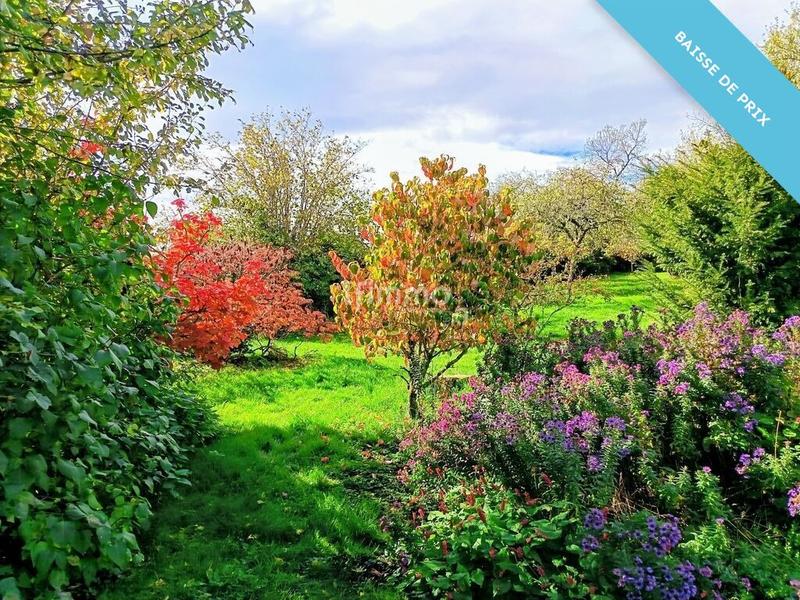 Propriété - 312 m² - 11 pièces