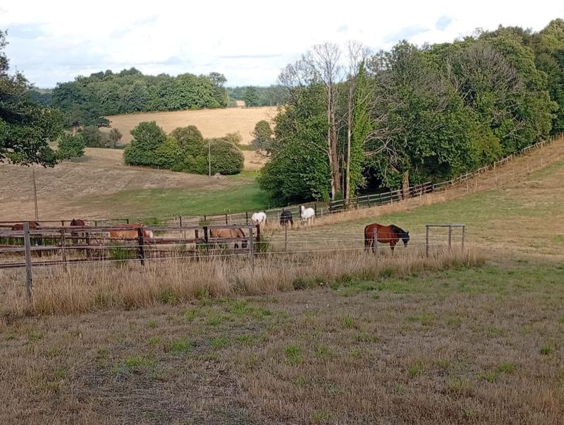 Terrain agricole - 151 596 m²