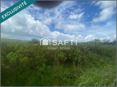Terrain - 11 467 m²