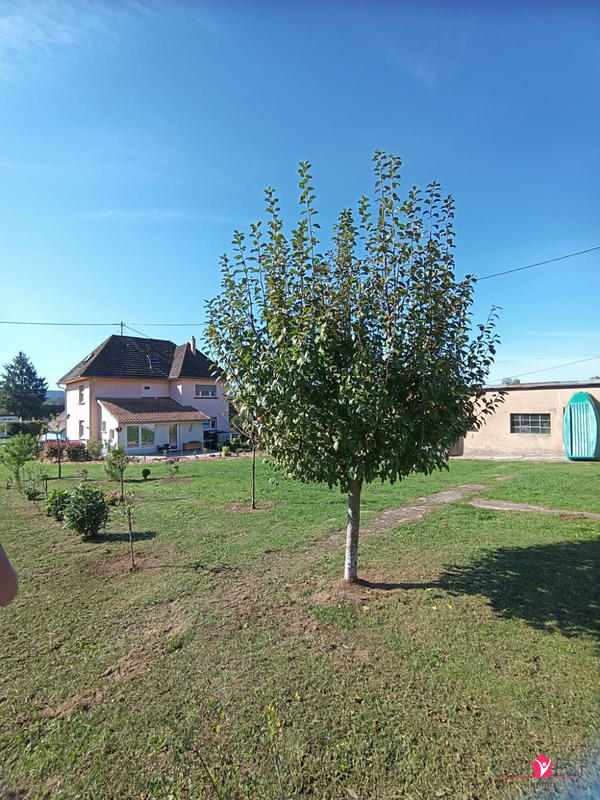 Maison - 260 m² - 7 pièces