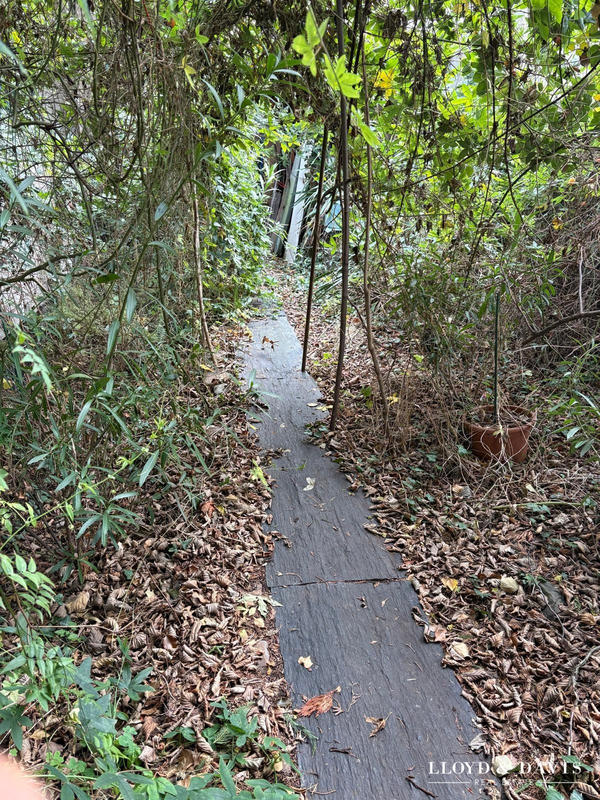 Maison - 405 m² - 5 pièces