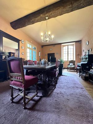 Maison de maîtres - 300 m² - 7 pièces