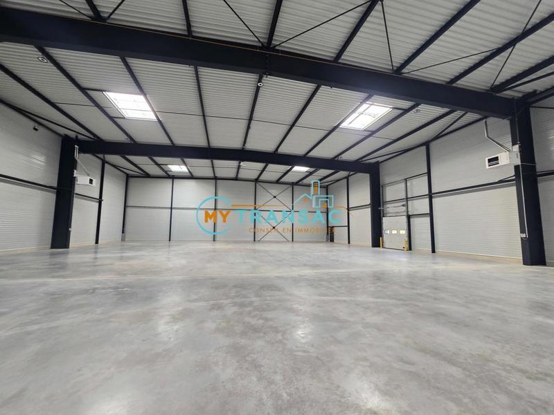 Local d'activité / Entrepôt - 1 675 m²