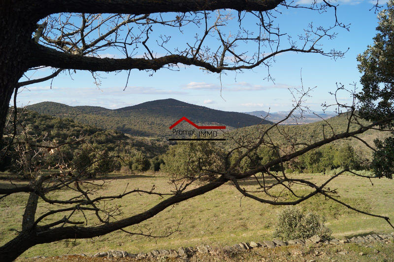 Terrain agricole - 23 648 m²