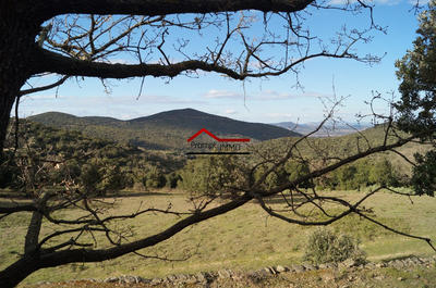 Terrain agricole - 23 648 m²