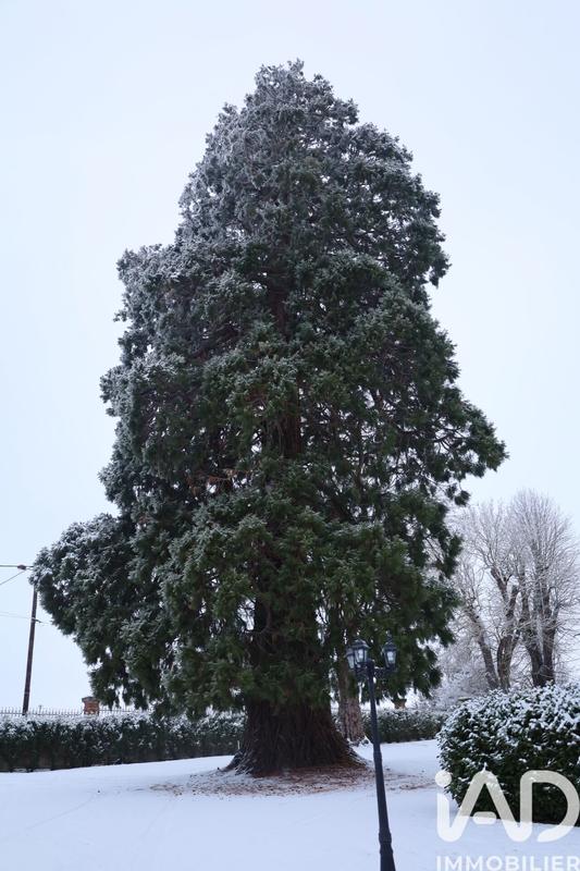 Maison - 273 m² - 7 pièces