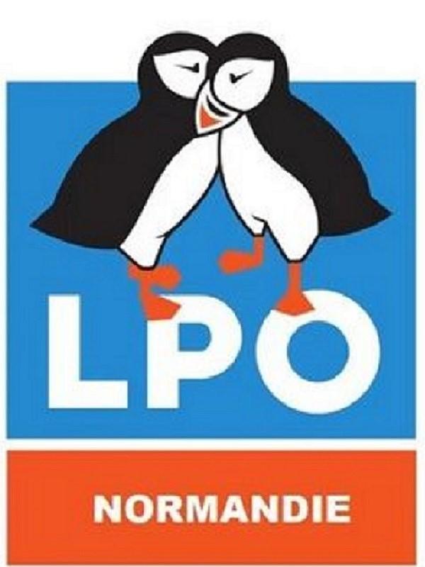 Initiations ornithologiques avec la Lpo Normandie : les oiseaux du jardin