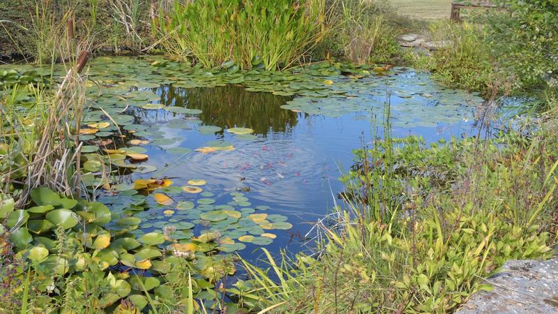 Propriété - 340 m² - 9 pièces