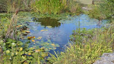 Propriété - 340 m² - 9 pièces