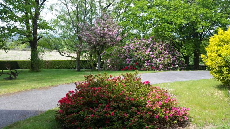 Maison - 268 m² - 9 pièces