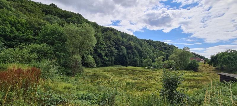 Terrain constructible - 3 735 m²