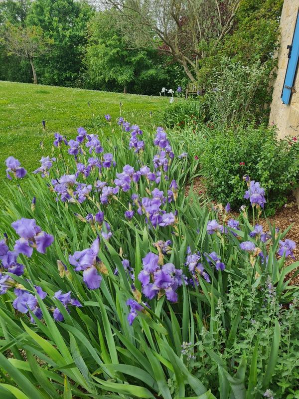 Maison - 294 m² - 7 pièces