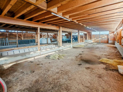 Entrepôt - 550 m² - 3 pièces