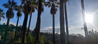 Maison - 126 m² - 5 pièces