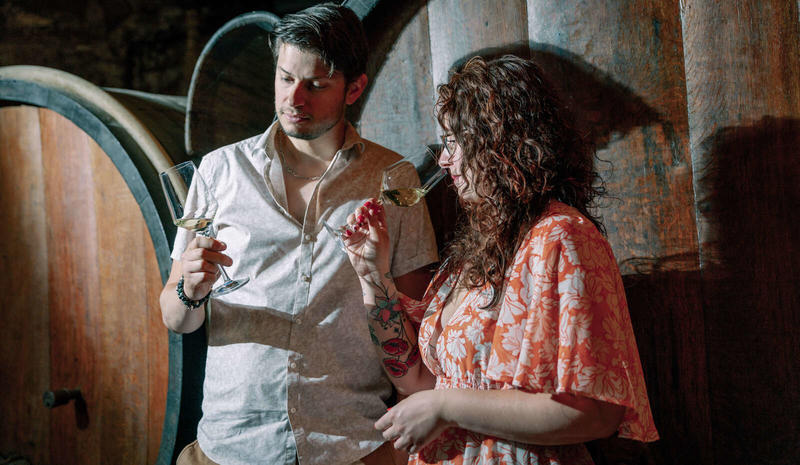 Parenthèse Vigneronne : les terroirs de Grands Crus