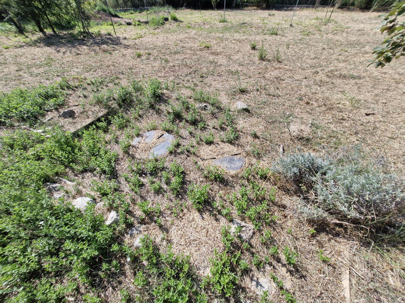 Maison - 30 m² - 2 pièces