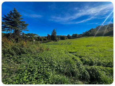 Terrain - 1 203 m²