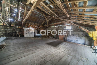 Maison - 550 m² - 12 pièces