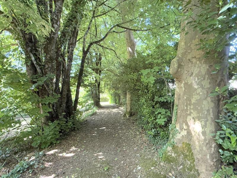 Maison de maîtres - 372 m² - 10 pièces