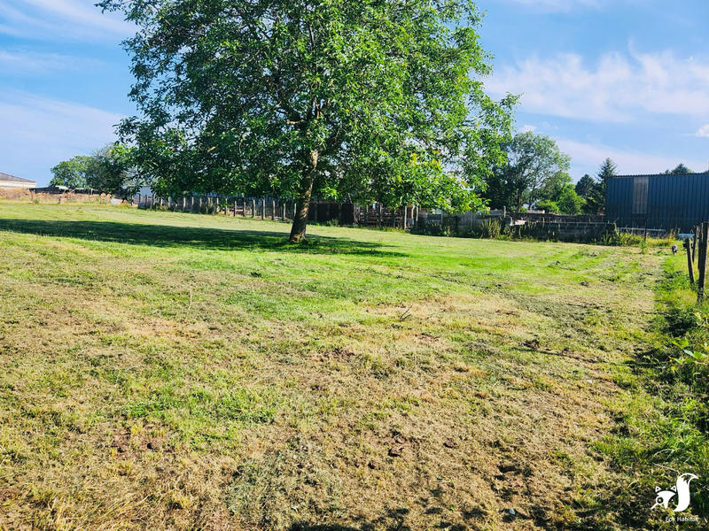 Maison - 300 m² - 6 pièces