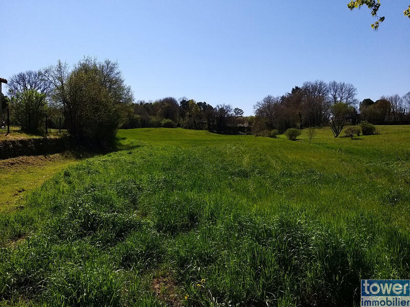 Terrain de loisirs - 12 015 m²