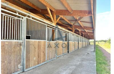 Haras - 170 m² - 5 pièces