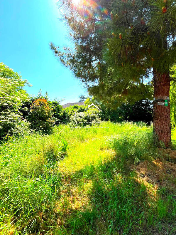 Maison ancienne - 126 m² - 7 pièces