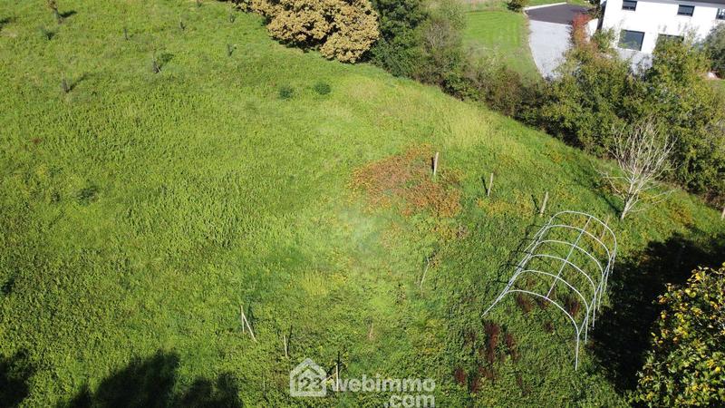 Ferme - 261 m² - 13 pièces