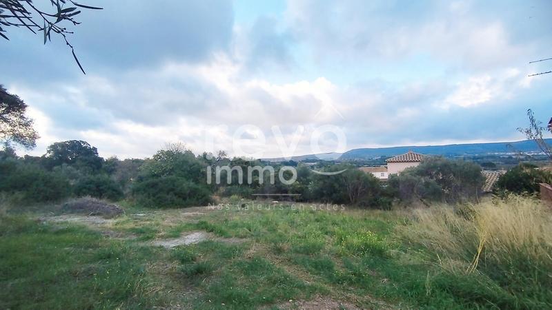 Terrain - 1 295 m²