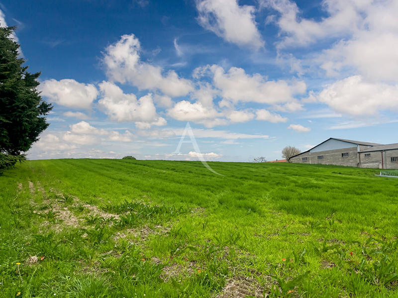 Terrain - 11 886 m²