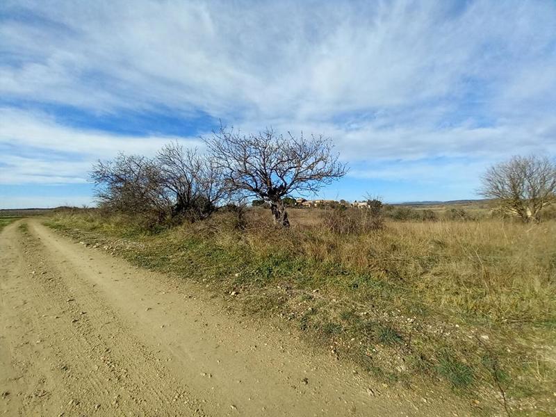 Maison - 95 m² - 1 pièce