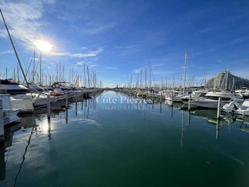 Appartement - 36 m² - 1 pièce