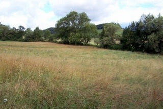 Terrain - 4 500 m²