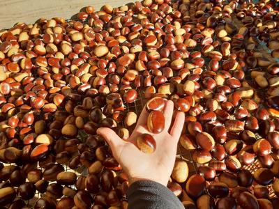 Ateliers cuisines à la Ferme de Louisotte