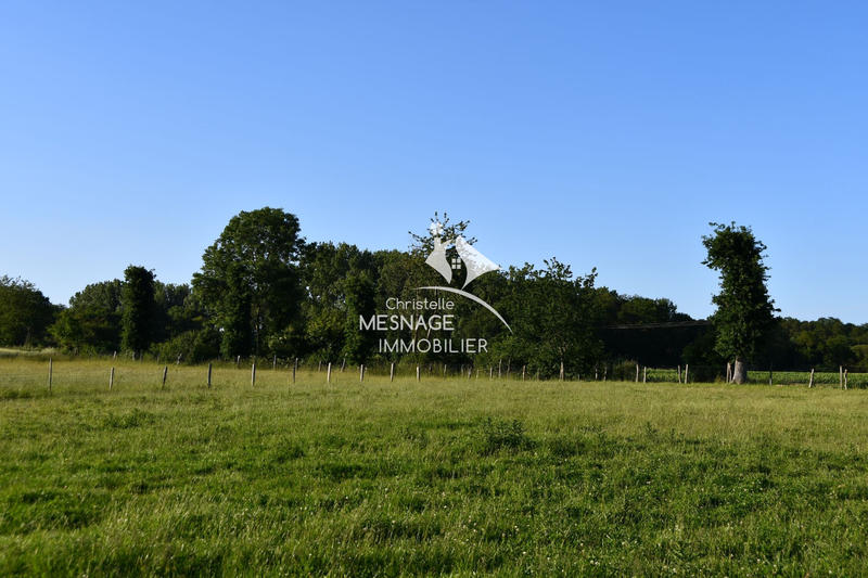 Maison en pierre - 187 m² - 6 pièces